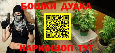 стаф Ярославль