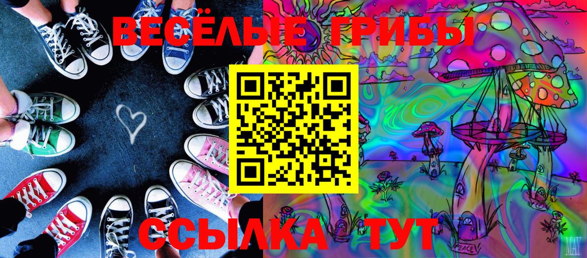Галлюциногенные грибы прущие грибы  Вход с VPN  Магнитогорск 