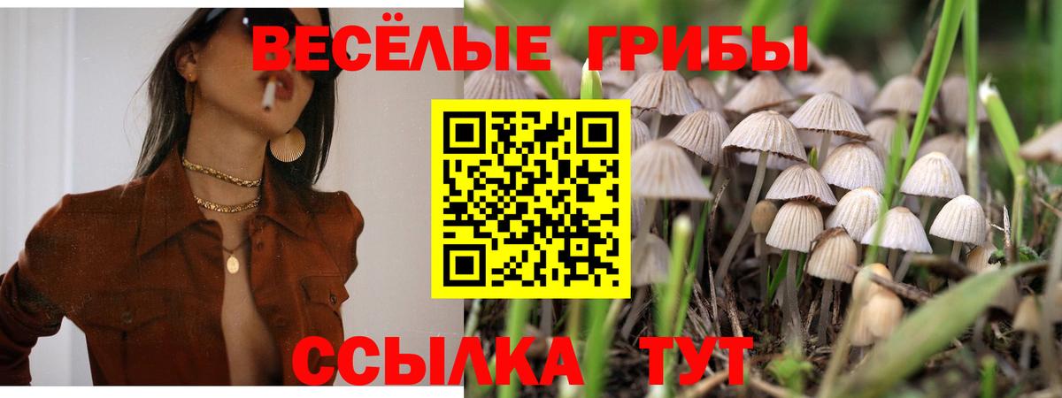 Псилоцибиновые грибы Magic Shrooms Магнитогорск